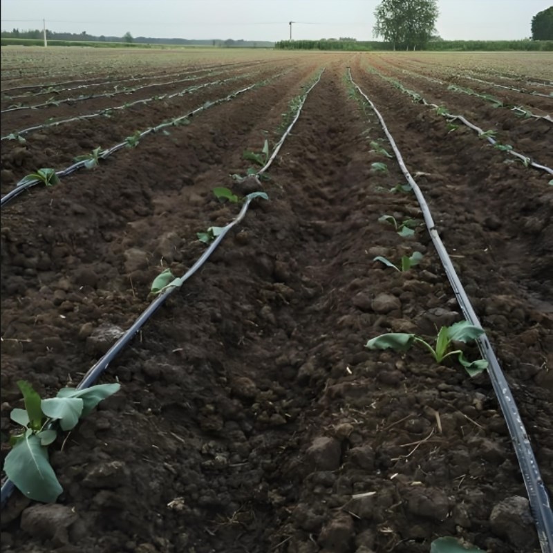 滴灌带微喷水带果树滴灌农用滴水大棚喷灌水管农用滴灌管微喷水管