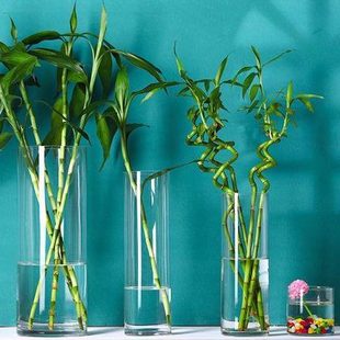 文昌竹花瓶落地客厅摆件插花玻璃花瓶透明直筒水培富贵竹水养花瓶