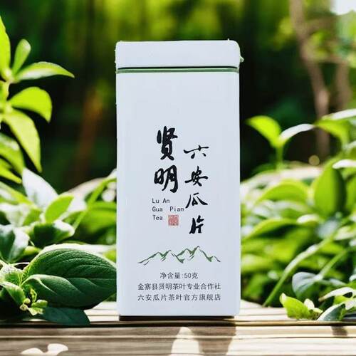 安徽六安新茶六安瓜片绿茶口粮