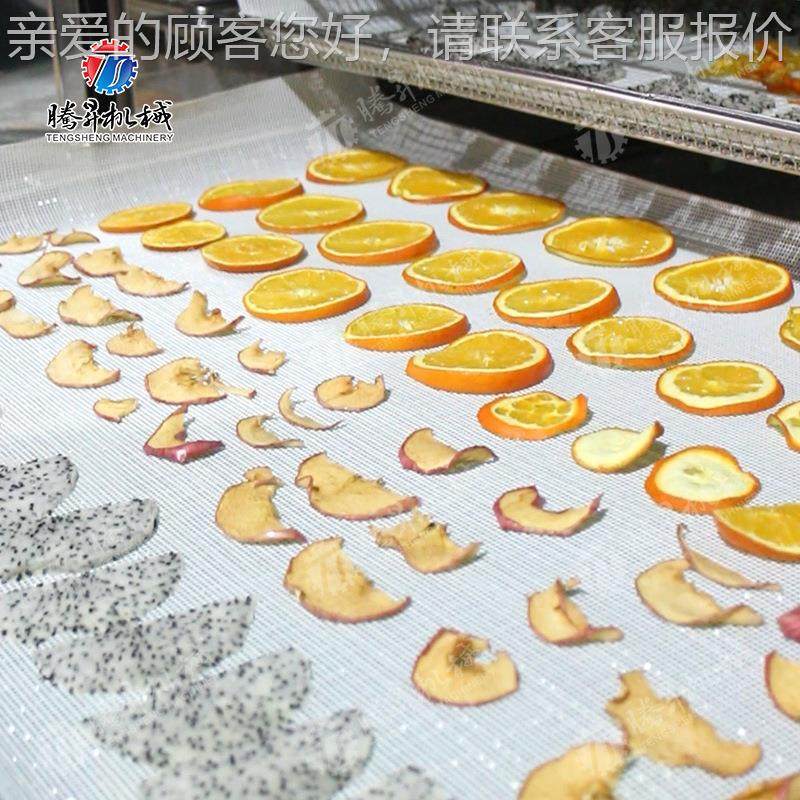 果蔬箱式菜烘干机 商用海鲜机肉类蔬瓜果多功能烘干 厂家TS-G100,机械设备,干燥机/干燥箱/烘干机,淘宝优惠券,粉丝福利购,淘宝优惠卷