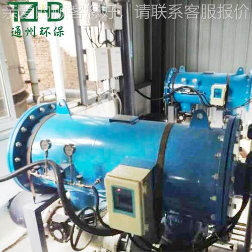 厂家供应DL电动刷式FL自系列清洗过滤器 DLD-100全自动清自洗过D