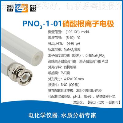 上海P-0型酸根离子电PNO3-1-0极实验室-离子电极探硝1头
