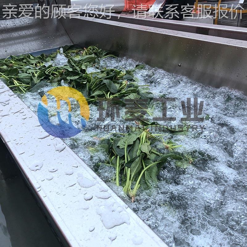 蔬菜线漂烫机 竹笋凤爪预煮杀 漂烫流水果蔬豆角EDN护色青线
