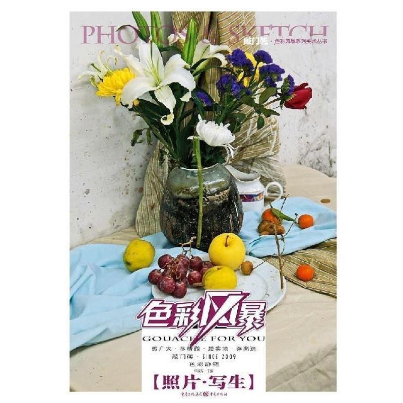 【正版书籍】 色彩风暴 照片·写生 李家友 编 重庆出版社