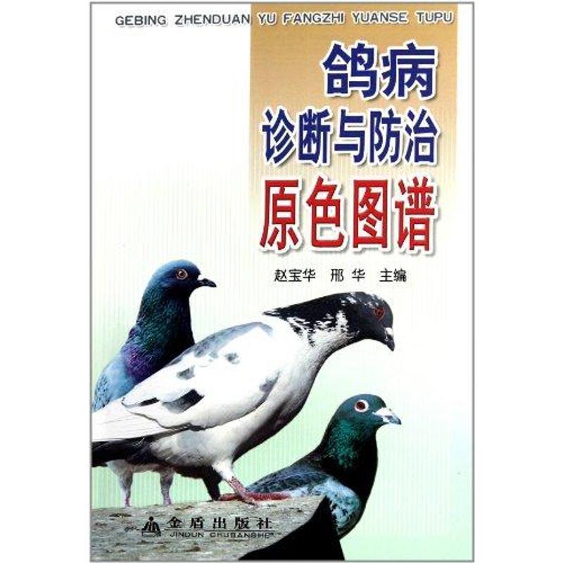 【正版书籍】 鸽病诊断与防治原色图谱 赵宝华 金盾出版社