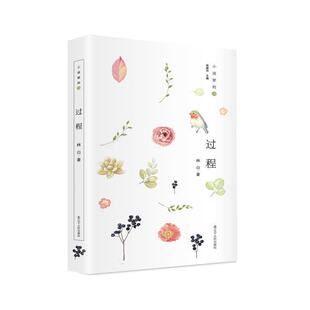 【正版书籍】 小说家的诗:过程 27年坚守,林白新诗首度结集,达致女性写作新境 林白 辽宁人民出版社