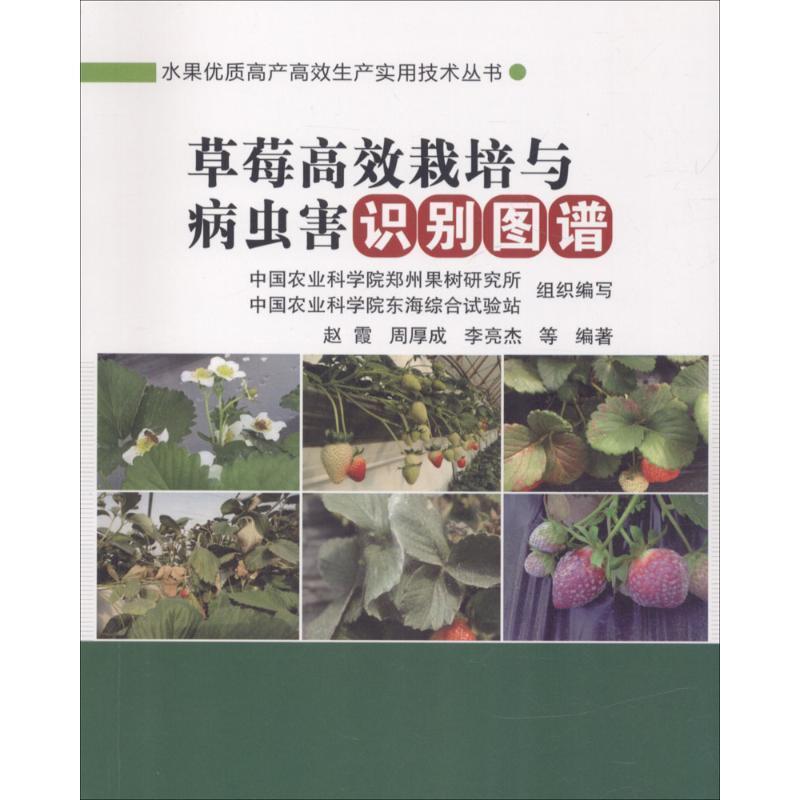 【正版书籍】 草莓高效栽培与病虫害识别图谱 赵霞 著, 中国农业科学技术出版社