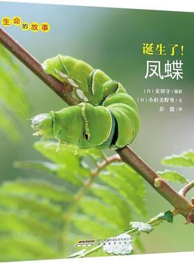 【正版书籍】 生命的故事:诞生了！凤蝶 小杉美野里 安徽教育出版社