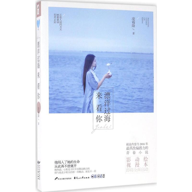 【正版书籍】 漂洋过海来看你 凌霜降 花山文艺出版社