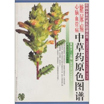 【正版书籍】 糖尿病心脑血管病中草药原色图谱 黄燮才 编 广西科学技术出版社