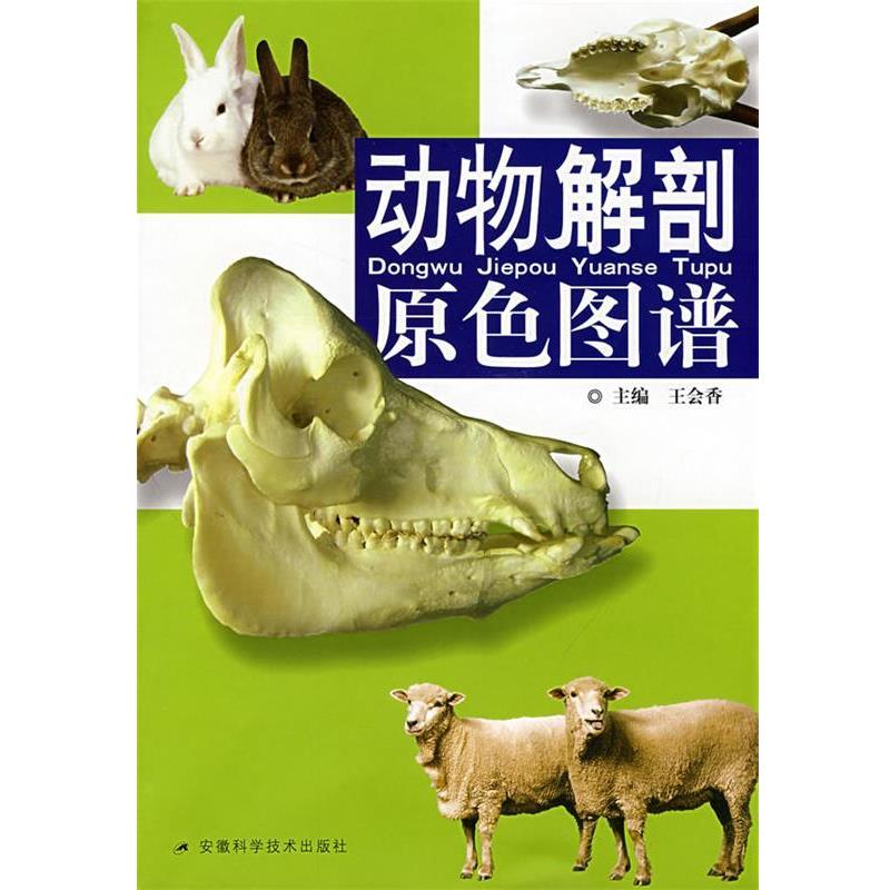 【正版书籍】 动物解剖原色图谱 王会香 主编 安徽科学技术出版社