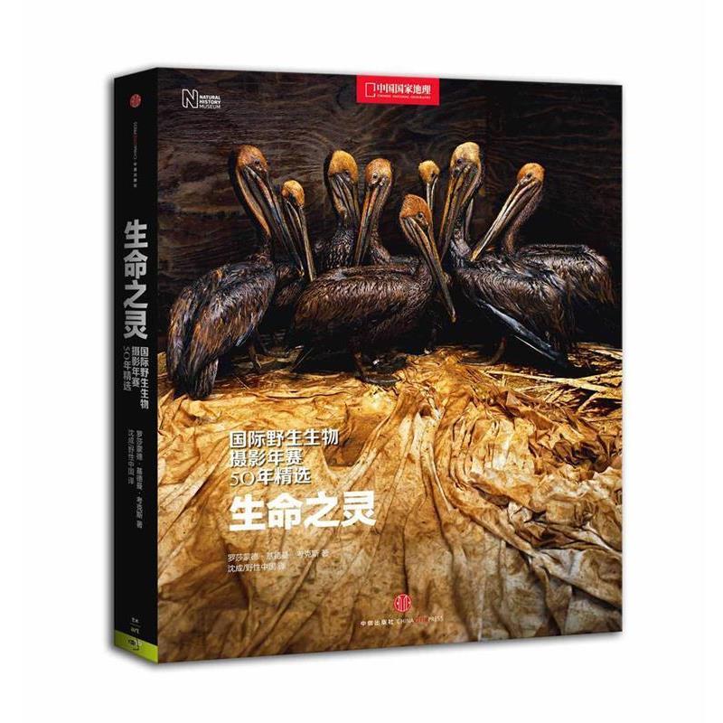【正版书籍】 生命之灵：国际野生生物摄影年赛50年精选 罗莎蒙德·基德曼·考克斯 中信出版社