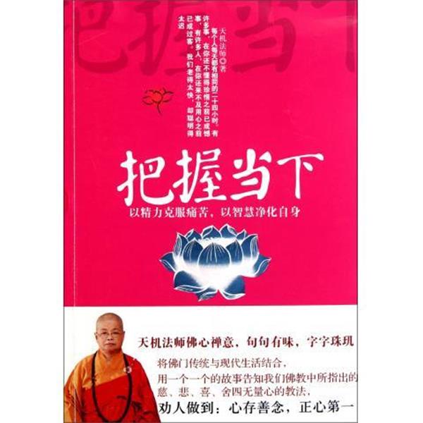 【正版书籍】 把握当下 天机法师 著 湖南人民出版社