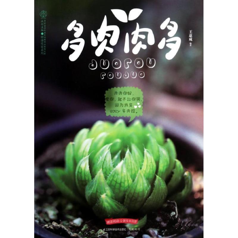 【正版书籍】 多肉肉多 王意成 著,汉竹 编 江苏科学技术出版社