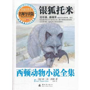 【正版书籍】 银狐托米 孙淇 新时代出版社