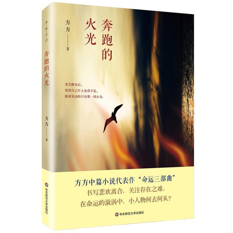 【正版书籍】 奔跑的火光 方方 华东师范大学出版社