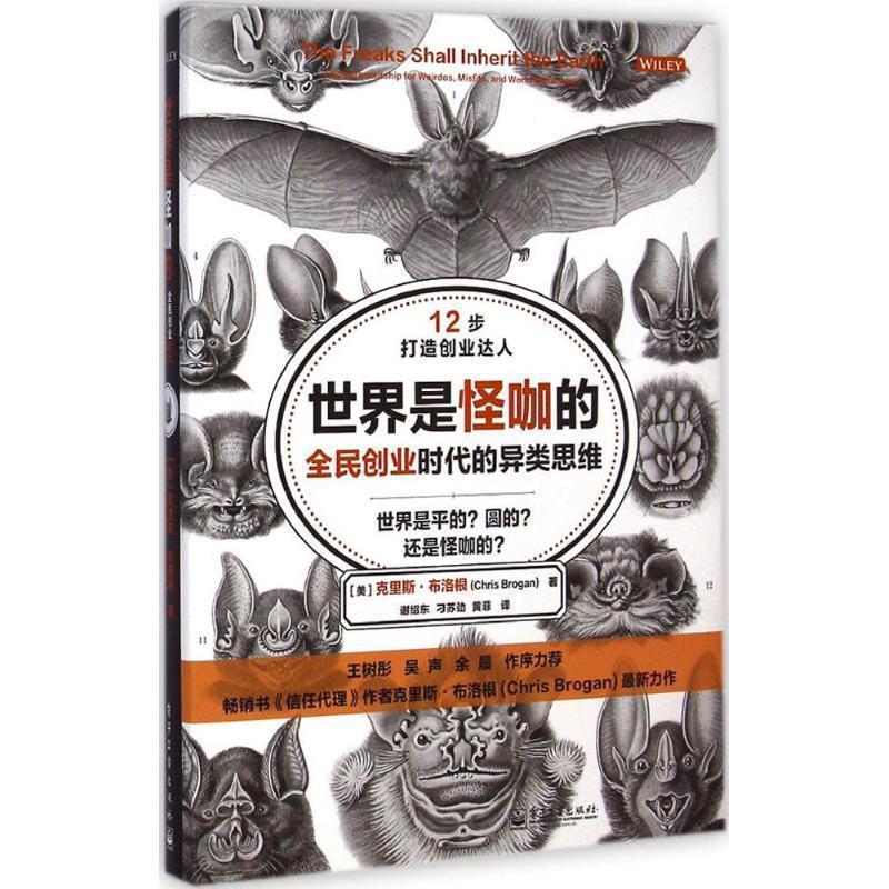 【正版书籍】 世界是怪咖的 全民创业时代的异类思维 [美] 克里斯·布洛根（Chris Brogan） 著,谢绍东 等 电子工业出版社
