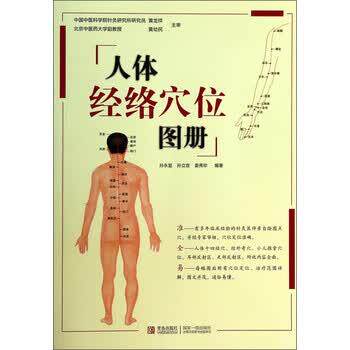 【正版书籍】 人体经络穴位图册 孙永显,孙立言,姜秀珍 著 青岛出版社