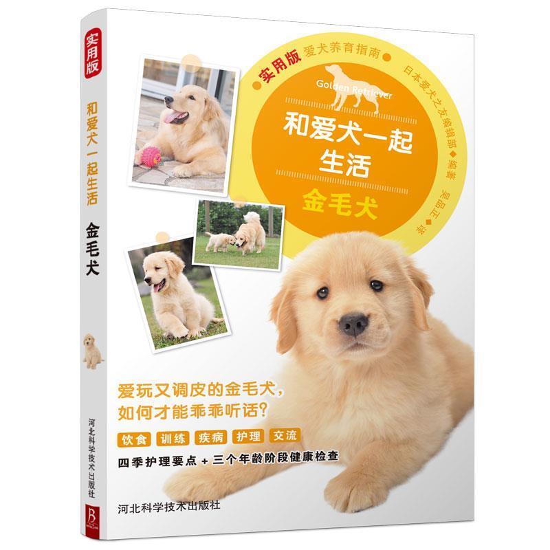【正版书籍】 和爱犬一起生活：金毛犬 日本爱犬之友编辑部,吴品正 河北科学技术出版社