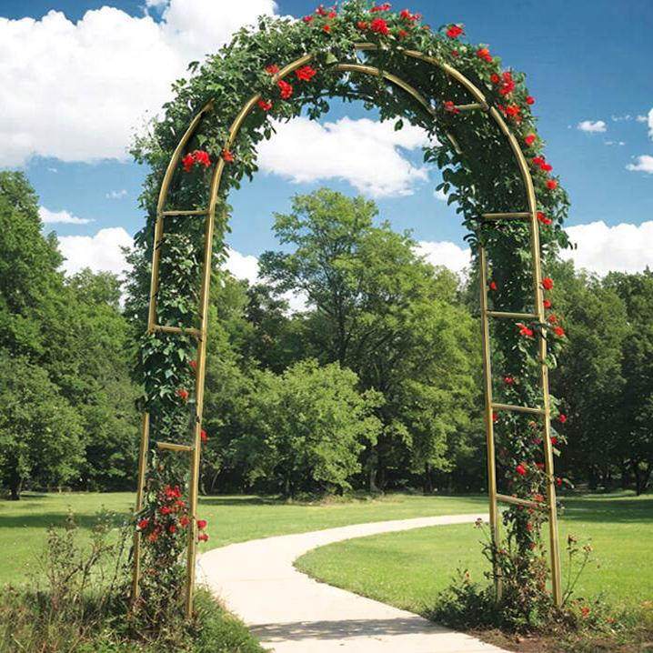 铁线 线莲爬藤架拱形婚宴花架铁艺蔷薇月季加粗加厚花园拱门攀爬