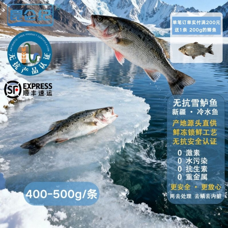 昆仑纪新疆天山无抗雪鲈鱼淡水鲈鱼整条装去鳞去内脏冷冻顺丰空运