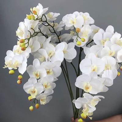 3D打印胶片9头手感蝴蝶兰家居婚庆摆件装饰假花 婚礼酒店花仿真花