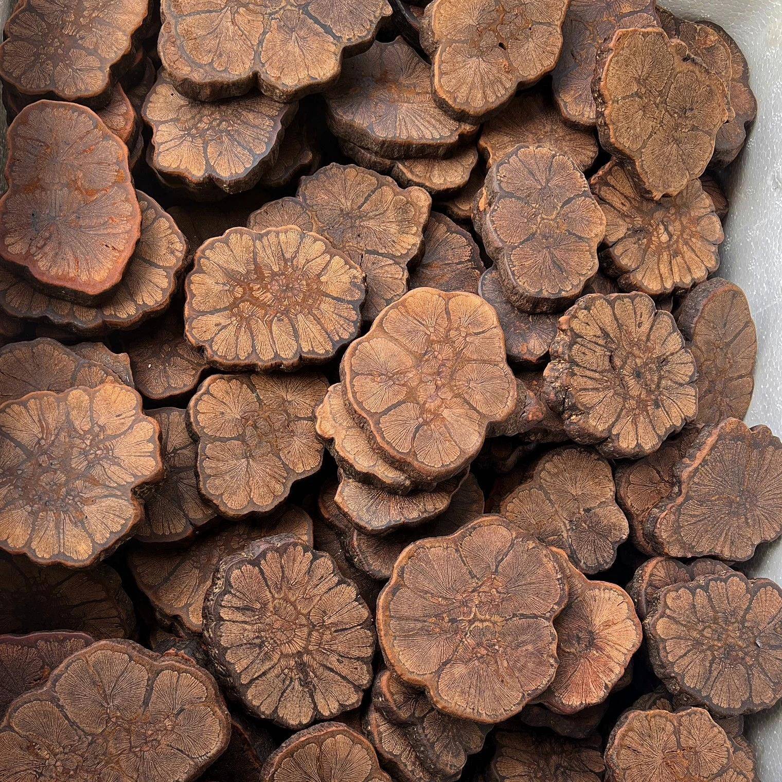 龙夏藤木杯垫壶，实木底座，自然造型，怀旧风格，防烫保温垫