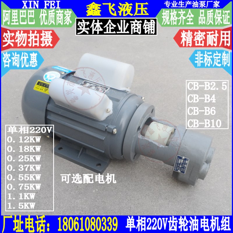 220V 380V立卧齿轮油泵电机组CB-B10 B6 IB4 B2.5 B16 B20 JZ