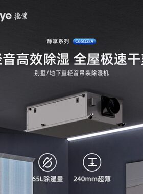 德业超薄中央吊装除湿机吊顶式抽湿器DY-C65DZ/A