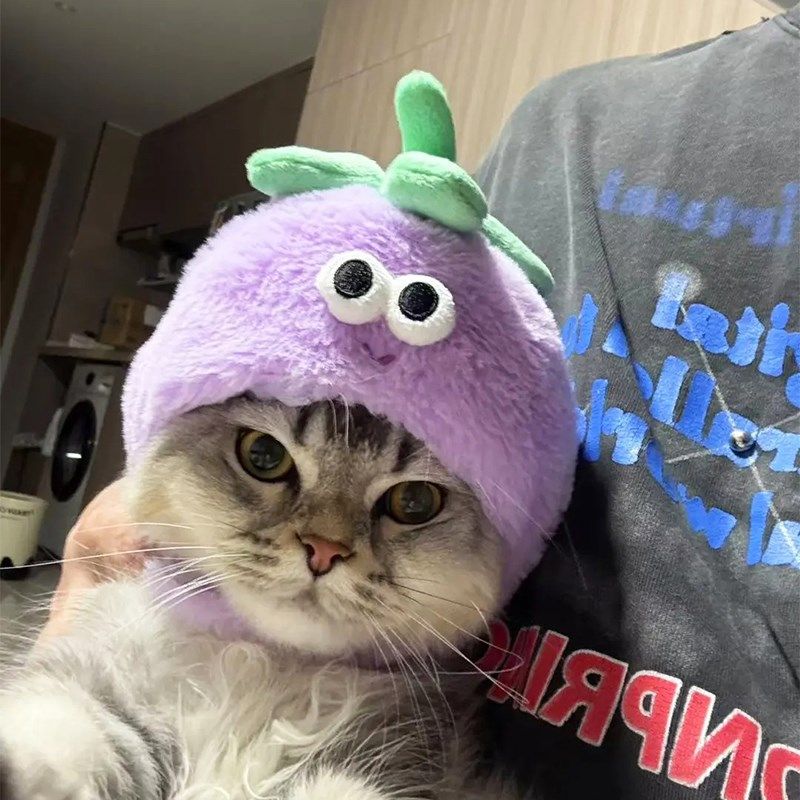 KKV果蔬系列宠物头套猫咪头饰可爱拍照毛绒装扮帽子头套,宠物/宠物食品及用品,发饰/头饰,淘宝优惠券,粉丝福利购,淘宝优惠卷