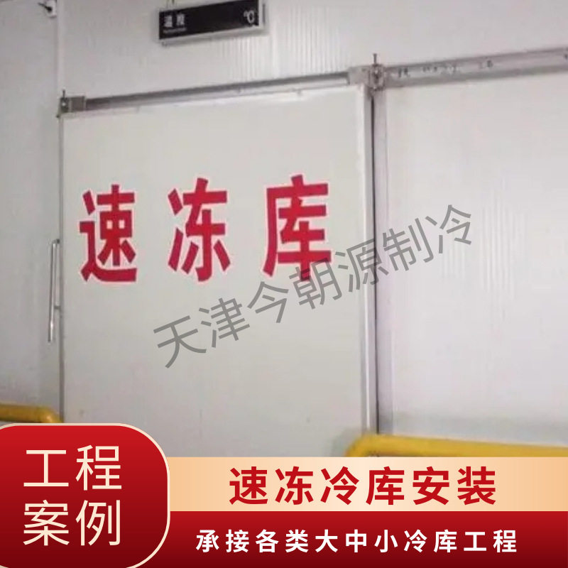 -40℃ 定制速冻冷库 海鲜快速冷冻 鲜虾鲜肉急速成型 冷库 制冷机,机械设备,制冷设备,淘宝优惠券,粉丝福利购,淘宝优惠卷