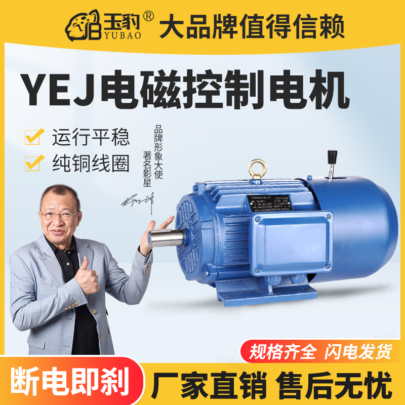 铜芯Y2EJ电磁制动三相异步电动机C380V失电刹车电机铜线马达带抱