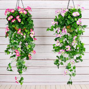仿真植物牵牛花壁挂花藤吊兰吊顶假花装饰阳台吊篮盆栽塑料条挂件