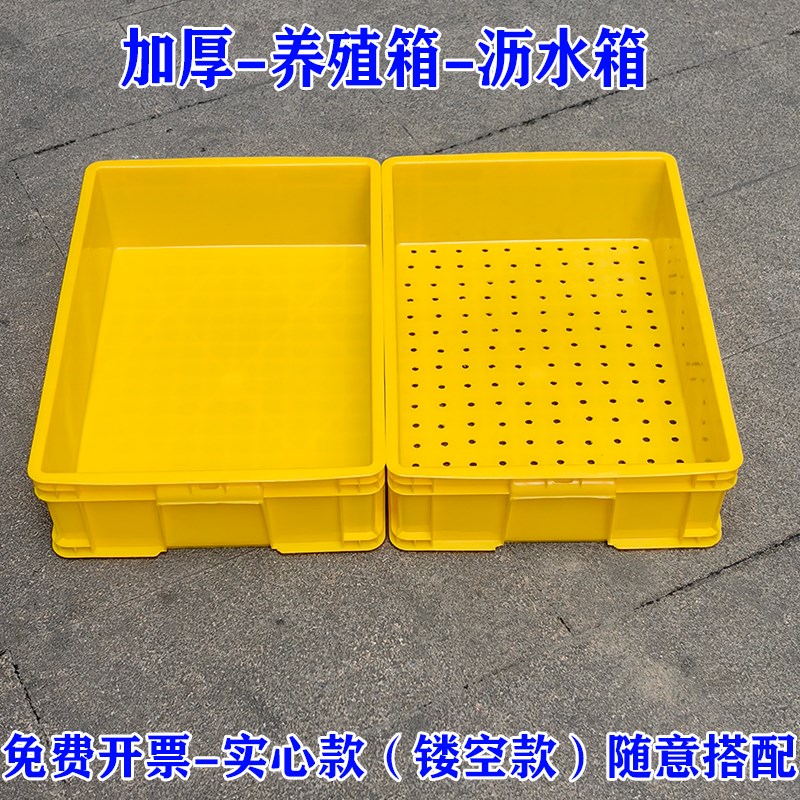 沥水打孔周转g箱底部排水周转箱种植箱漏水镂空底塑料筐种花种菜