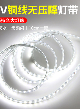 led灯带36v120珠无压降防水户外工程工地隧道夜市摆摊地下室照明