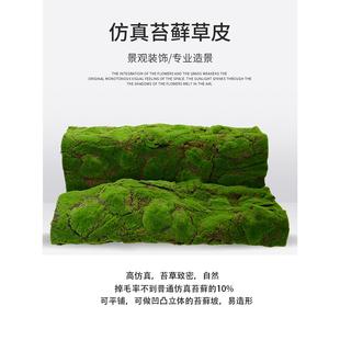 高彷真苔藓草皮景观摄影假草坪人工青苔照相馆店铺造景装饰地毯