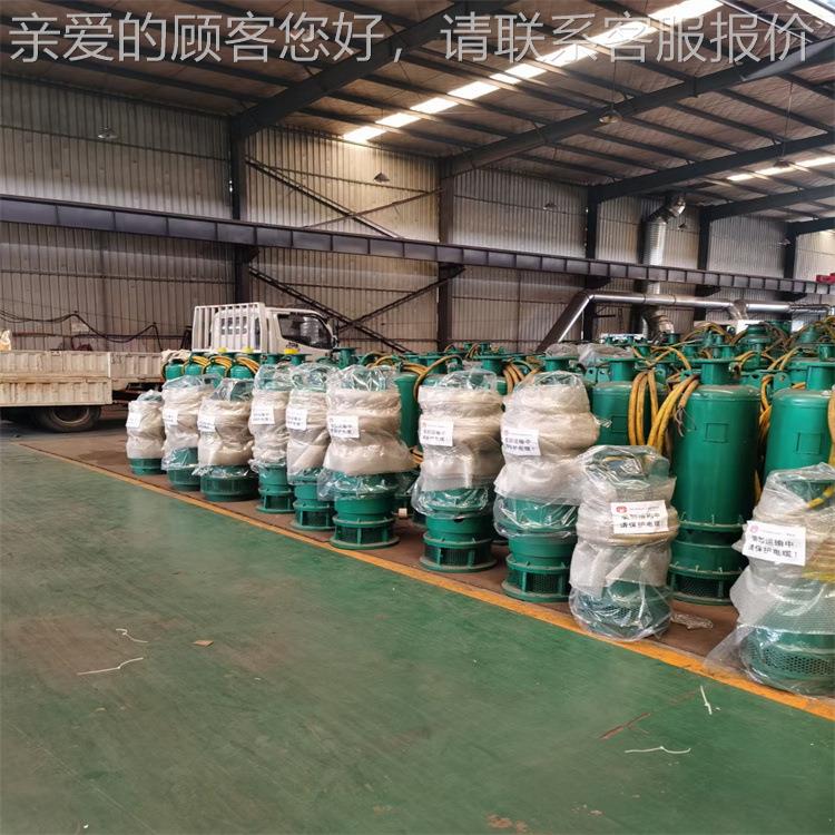 B水QS46030 -15-3/N潜泵 油室隔离 耐磨合金B铸铁矿用QS潜水泵