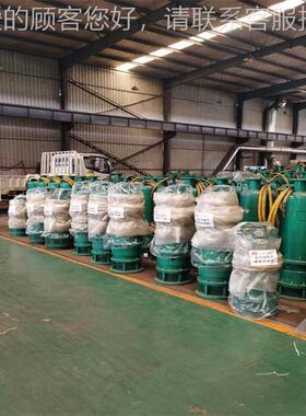 B水QS46030 -15-3/N潜泵 油室隔离 耐磨合金B铸铁矿用QS潜水泵