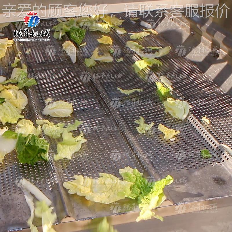 包袋TS-ZD15动风干机 大枣振动风水干机振 不锈钢果蔬装菜风干线
