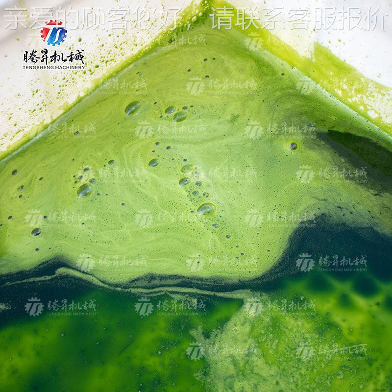 商用汁机 厂TS-GZ110单家直销 果蔬榨汁榨机 螺旋汁榨机 螺旋榨汁