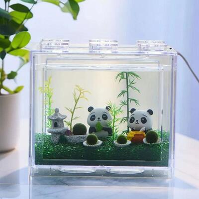 幸福海藻球marimo水培微景观生态瓶桌面鱼缸创意DIY趣味植物礼物