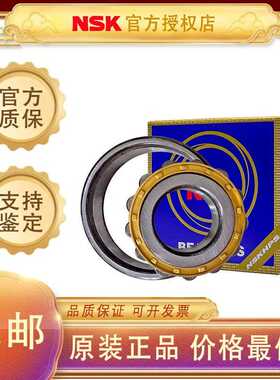 日本NSK进口轴承N304 N305 N306 N307 N308 N309 N310 N311 N312W