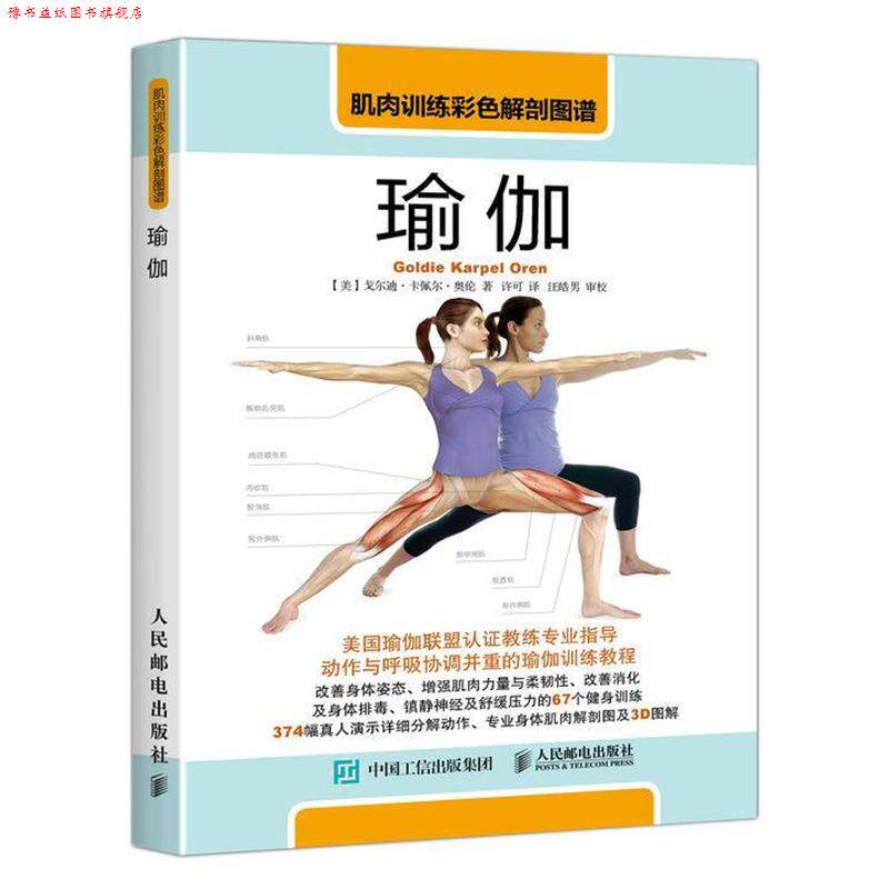 【正版书】 肌肉训练彩色解剖图谱:瑜伽 【美】戈尔迪 卡佩尔 奥伦(Goldie Karpel Oren) 人民邮电出版社