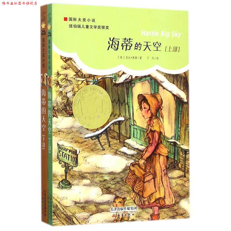 【正版书】 国际大奖小说:海蒂的天空 [美] 克比·莱森 著,丁凡 译 新蕾出版社