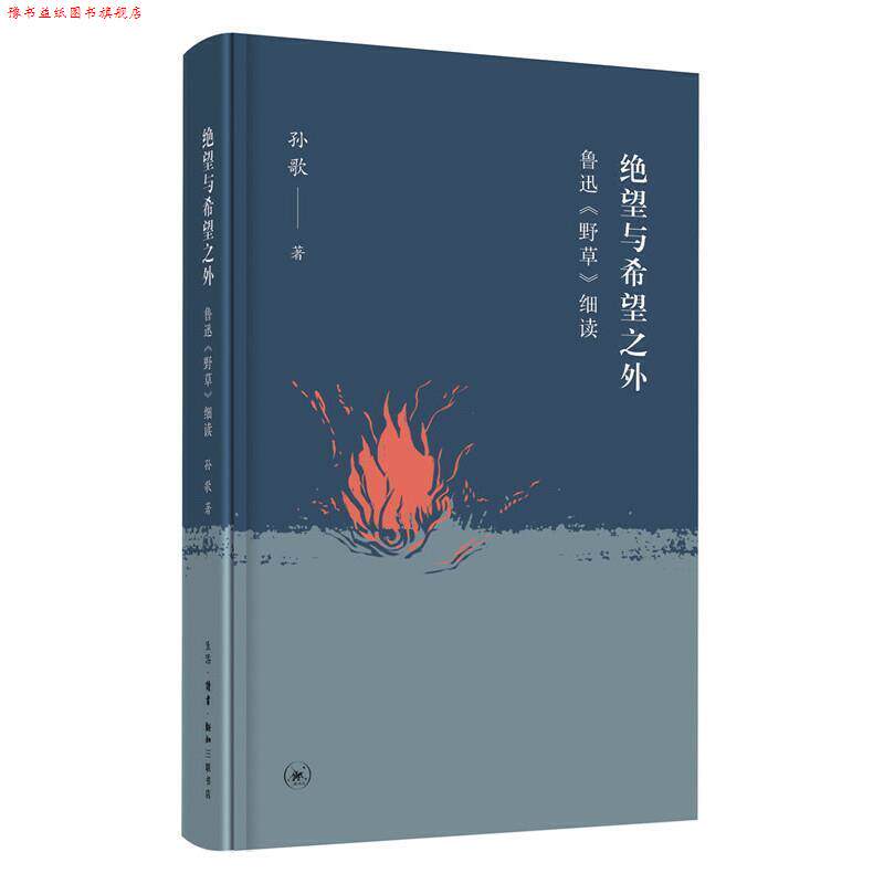 【正版书】 绝望与希望之外:鲁迅《野草》细读 孙歌 生活·读书·新知三联书店