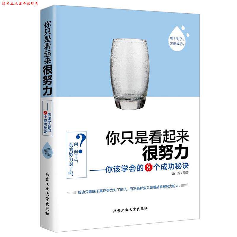 【正版书】 你只是看起来很努力—你该学会的8个成功秘诀 洁妮 北京工业大学出版社