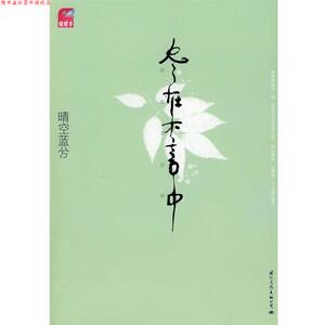 【正版书】 尽在不言中 晴空蓝兮 著 国际文化出版公司
