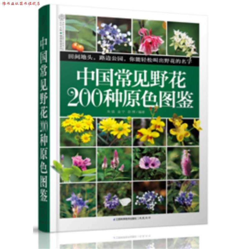 【正版书】 中国常见野花200种原色图鉴 朱强,金宁,彭博 编著 江苏科学技术出版社