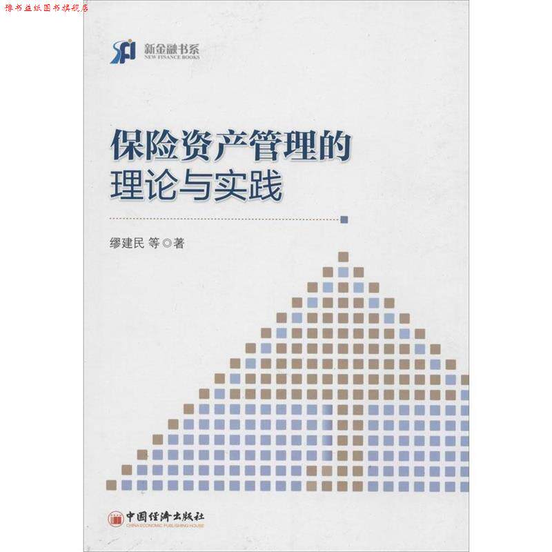 【正版书】 保险资产管理的理论于实践 缪建民 中国经济出版社