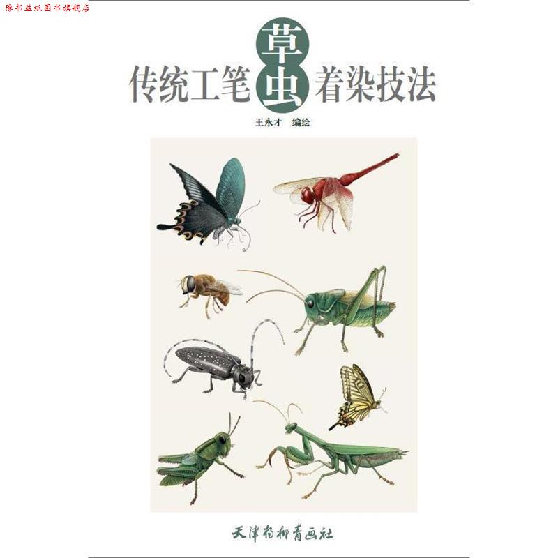 【正版书】 传统工笔草虫着染技法 王永才 杨柳青出版社